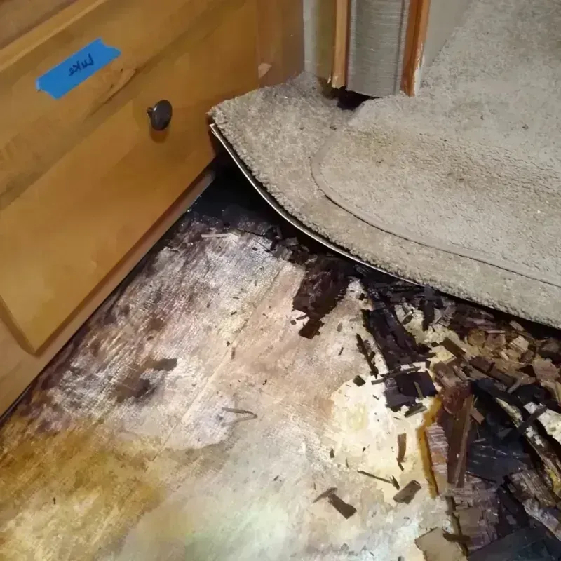 Wood Floor Water Damage in Dimondale, MI